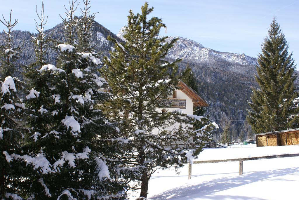 Casa Remo 3 Hotel San Vito di Cadore Luaran gambar